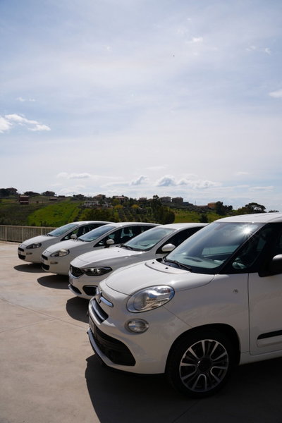 Renault Trafic Furgone BluedCi 150CV EDC PL-TN SpaceClass (5)