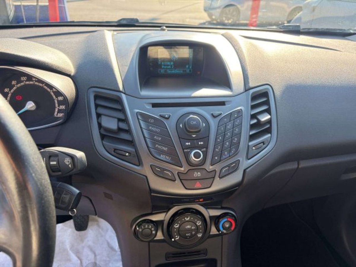 Ford Fiesta 1.4 5 porte Bz.- GPL Business N1 (11)