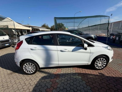 Ford Fiesta 1.4 5 porte Bz.- GPL Business N1 (4)