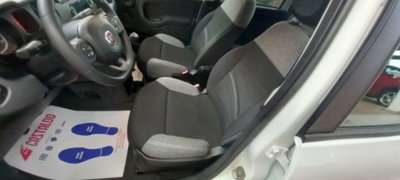 Fiat Panda 1.0 firefly hybrid s&s 70cv 5p.ti (5)