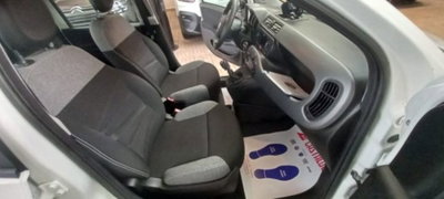 Fiat Panda 1.0 firefly hybrid s&s 70cv 5p.ti (6)