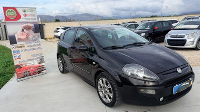 Fiat Punto 1.3 MJT II S&S 85 CV 5 porte ECO Lounge (3)