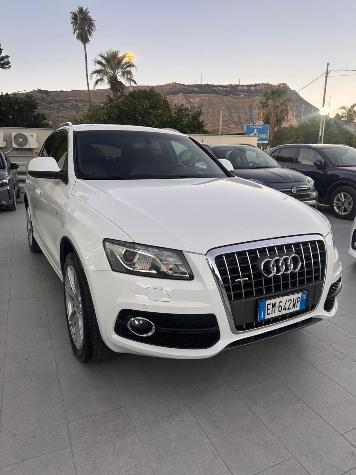 Audi Q5 2.0 TDI 170 CV quattro S tronic (13)