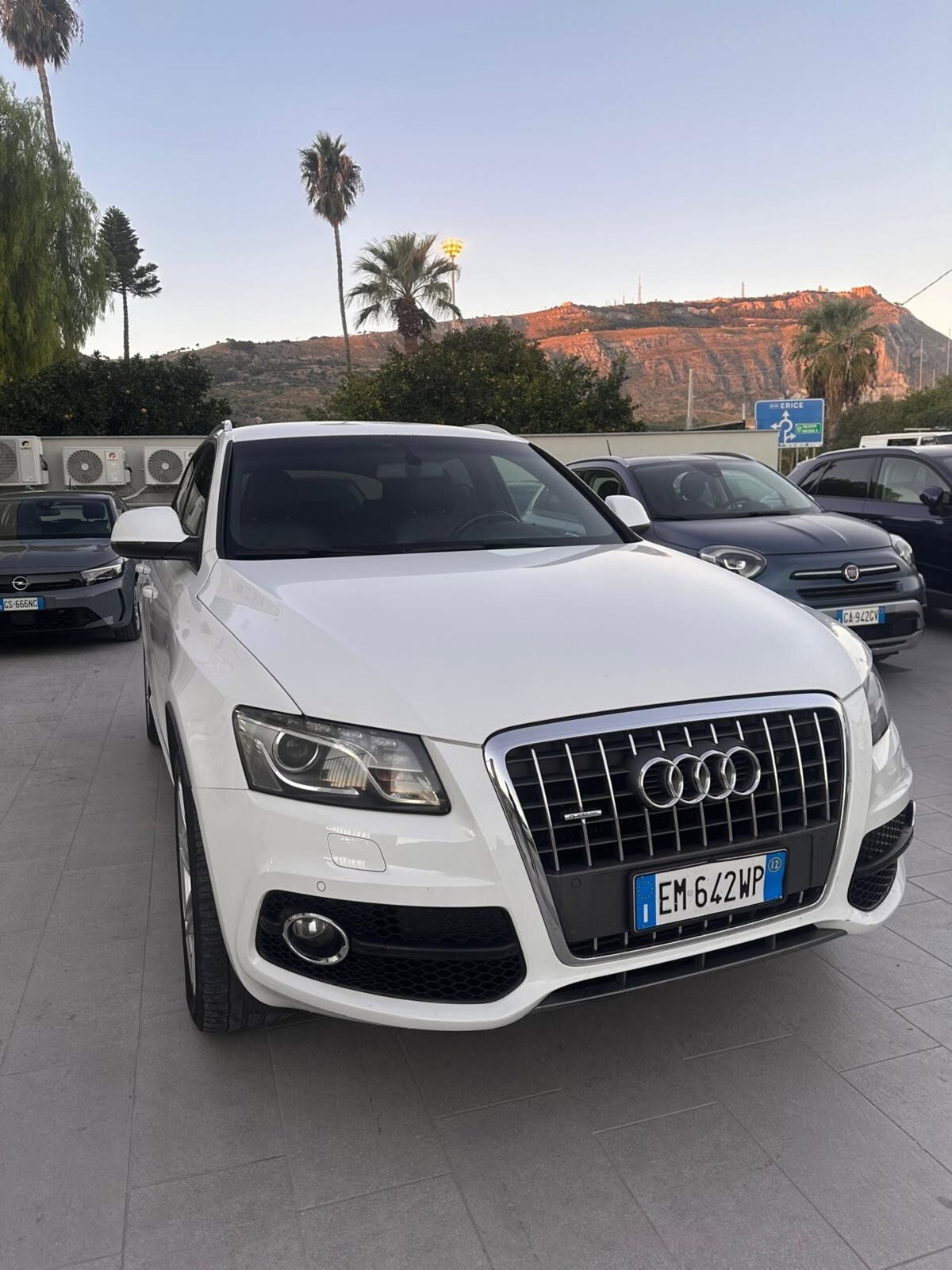 Audi Q5 2.0 TDI 170 CV quattro S tronic (3)