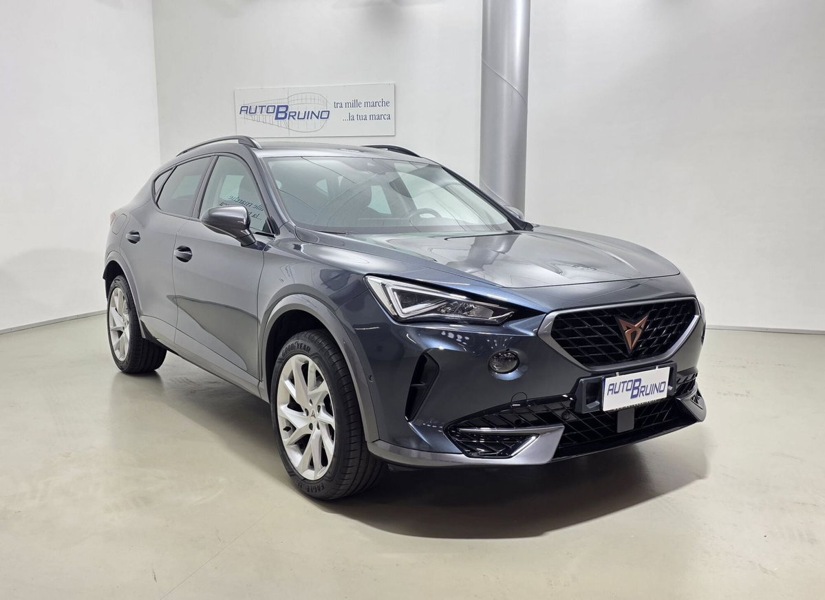 Cupra Formentor Formentor 1.5 tsi 150cv dsg (3)