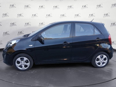 Kia Picanto 1.0 12V 5 porte Easy usata