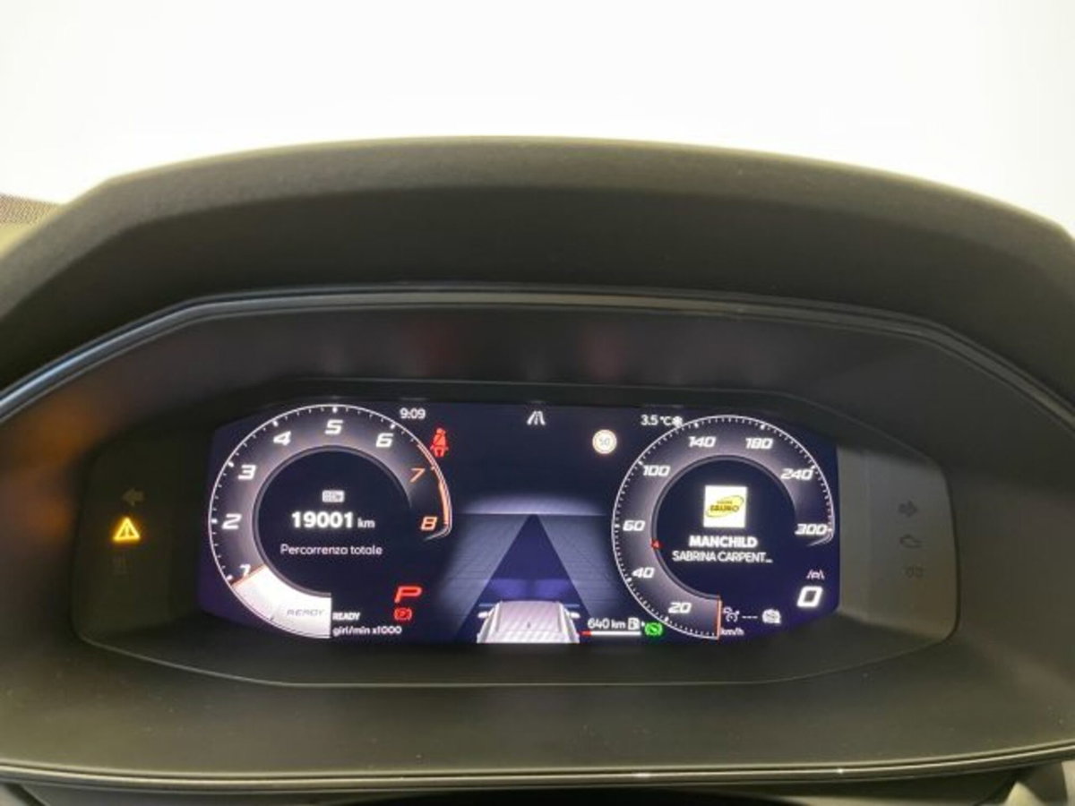 Cupra Formentor 1.5 hybrid 150cv dsg (20)