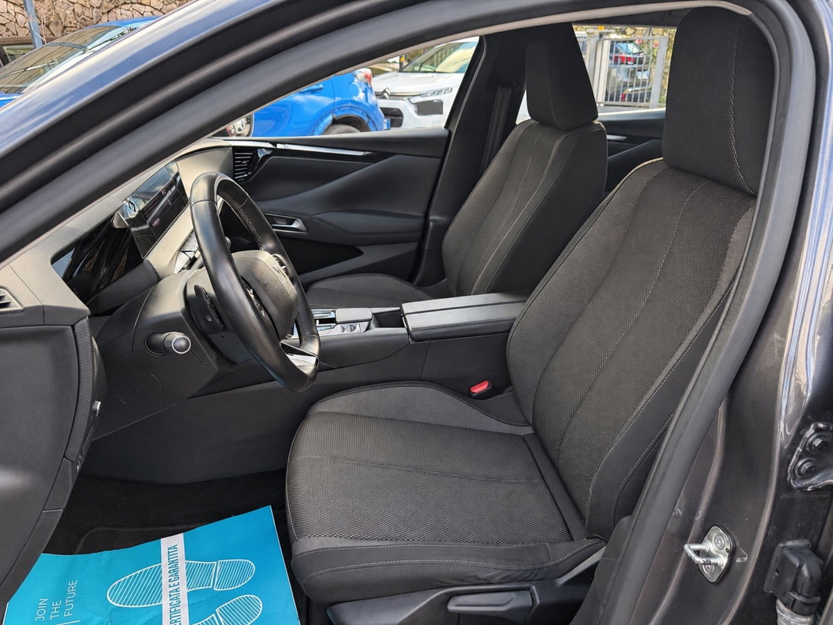 Ds DS 4 DS4 1.5 bluehdi Bastille Business 130cv auto (9)