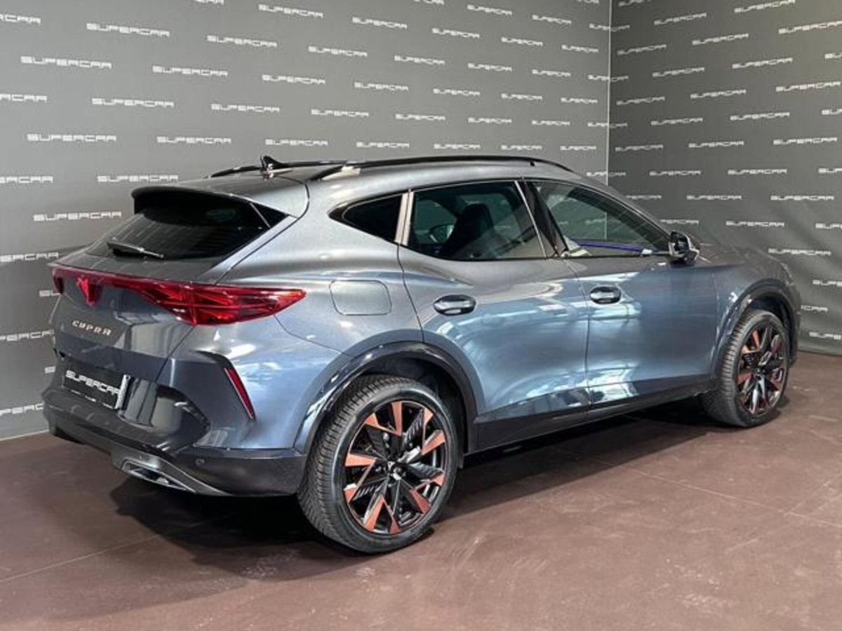 Cupra Formentor Formentor 2.0 TDI (3)