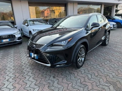 Lexus NX Hybrid Business usata