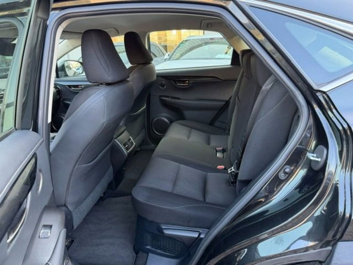 Lexus NX Hybrid Business (13)