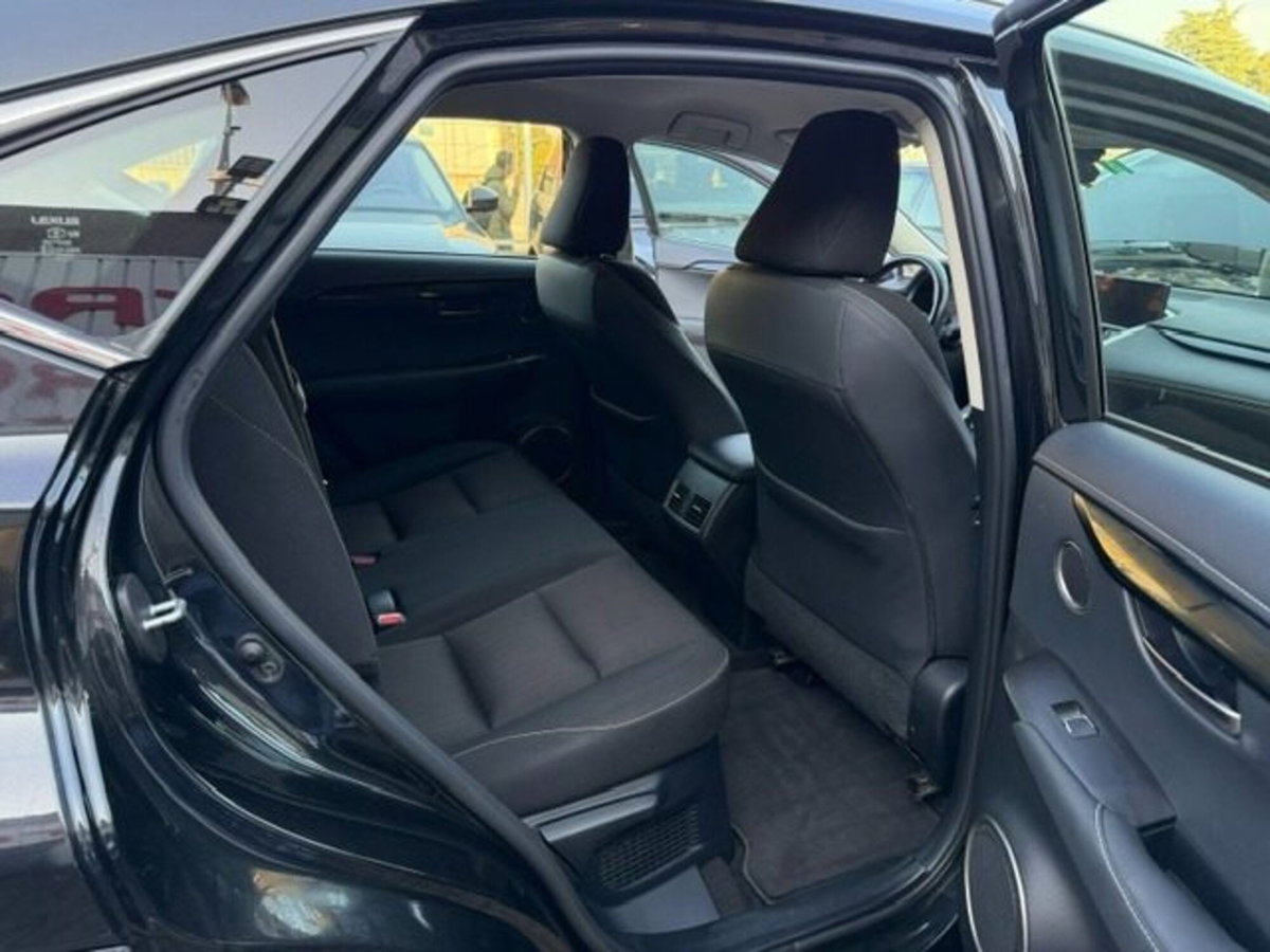 Lexus NX Hybrid Business (15)