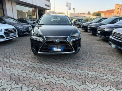 Lexus NX Hybrid Business (2)