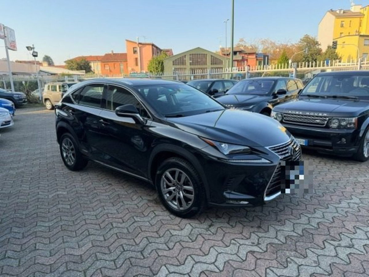 Lexus NX Hybrid Business (3)