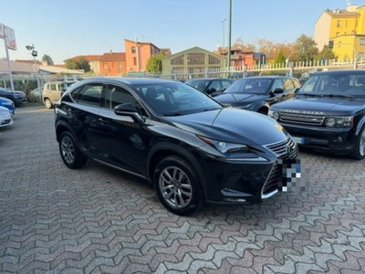 Lexus NX Hybrid Business (3)