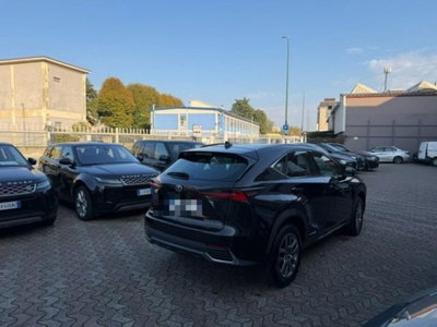 Lexus NX Hybrid Business (4)