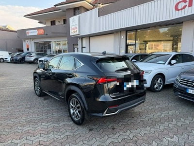 Lexus NX Hybrid Business (5)