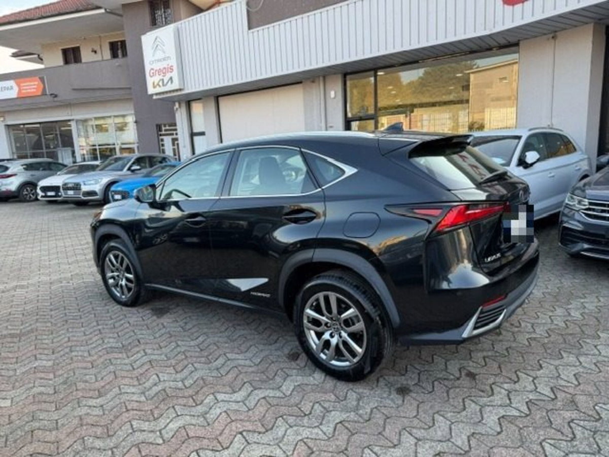 Lexus NX Hybrid Business (6)