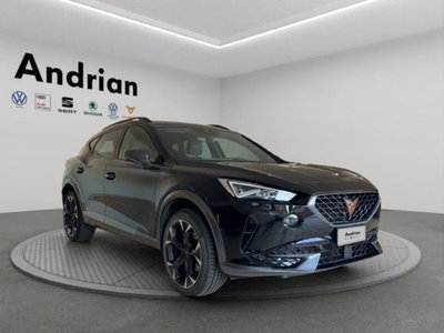 Cupra Formentor Formentor 1.5 tsi 150cv dsg (3)
