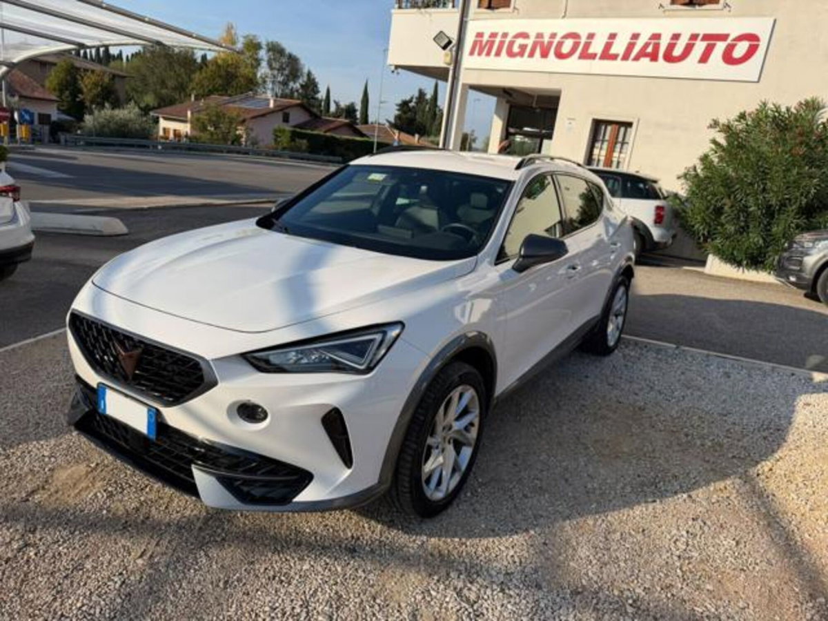 Cupra Formentor Formentor 2.0 tdi 4drive 150cv dsg