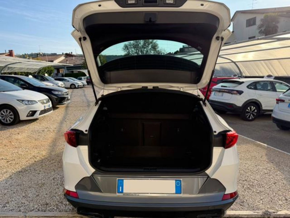 Cupra Formentor Formentor 2.0 tdi 4drive 150cv dsg (13)