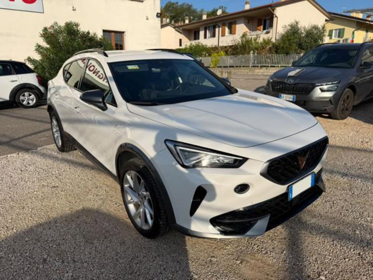 Cupra Formentor Formentor 2.0 tdi 4drive 150cv dsg (2)