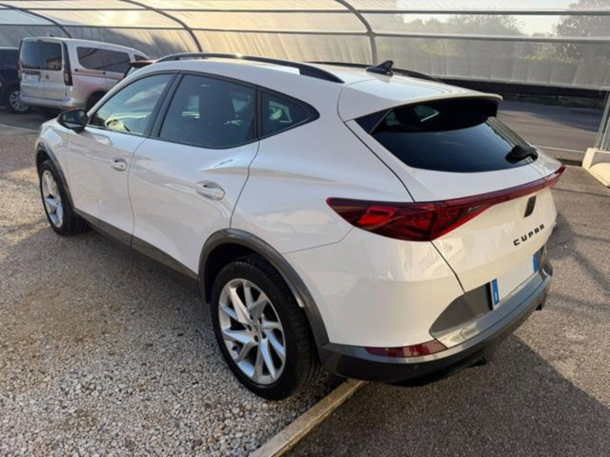 Cupra Formentor Formentor 2.0 tdi 4drive 150cv dsg (4)