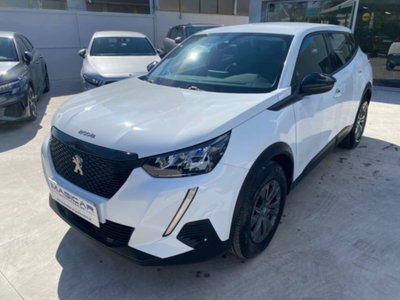 Peugeot 2008 PureTech 100 S&S Active Pack (3)