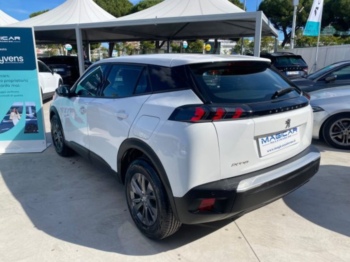 Peugeot 2008 PureTech 100 S&S Active Pack (6)