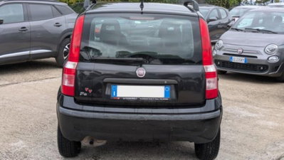 Fiat Panda 1.2 Active GPL (11)
