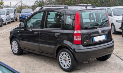 Fiat Panda 1.2 Active GPL (3)