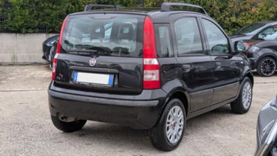 Fiat Panda 1.2 Active GPL (4)